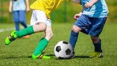 MK体育 资讯 113323 vs3