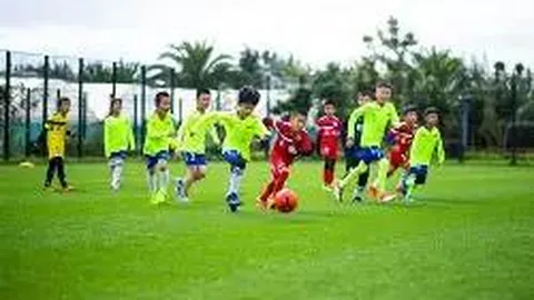 MK体育 资讯 113759 2mz