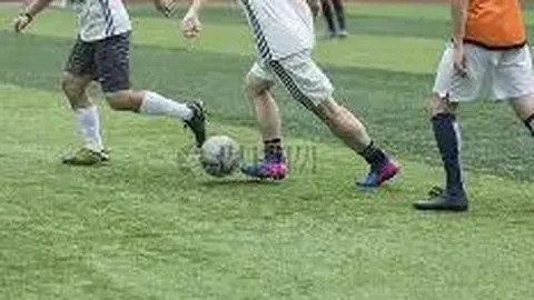 MK体育 产品 113734 jpv