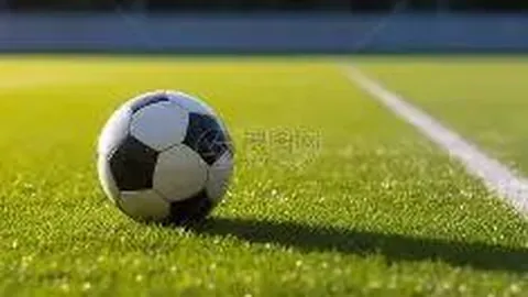 人员任命与调动