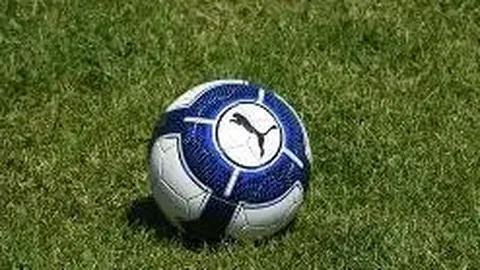 “米兰冬季引援计划锁定中锋与后卫：目标佩莱格里诺及D席”