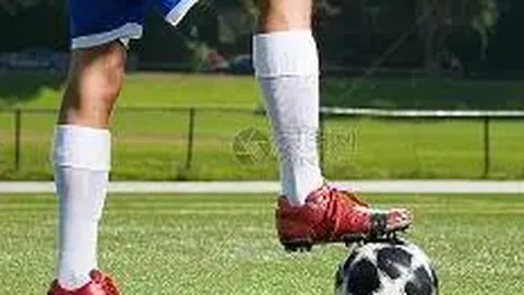 MK体育 资讯 100017 qam