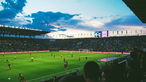 MK体育 产品 094907 wga